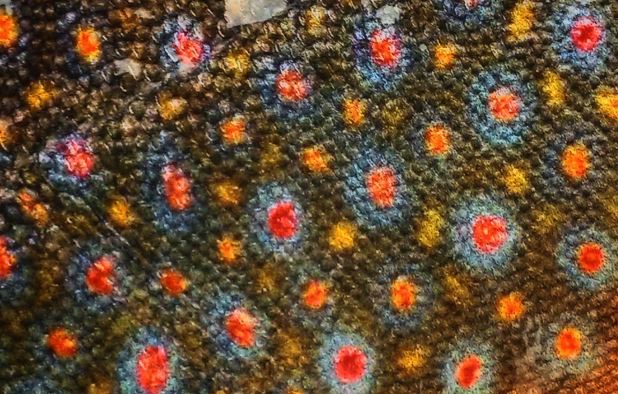 OrvisFlyFishing's tweet image. I could look at this all day. orv.is/1UVWPrQ #flyfishing