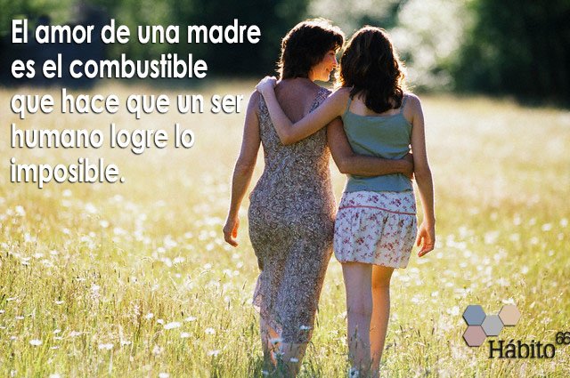 Habito66's tweet photo. Porque todos los días deberían ser el día de la #madre #DiadelaMadre #Valencia #Hábito66 https://t.co/7jmqbVCdp6
