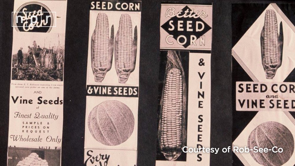 NPRFood's tweet photo. Used to be that small family-run companies supplied seeds to US farmers.That's all changing: https://t.co/MGMyU419tn https://t.co/tHR2Qp9wCq