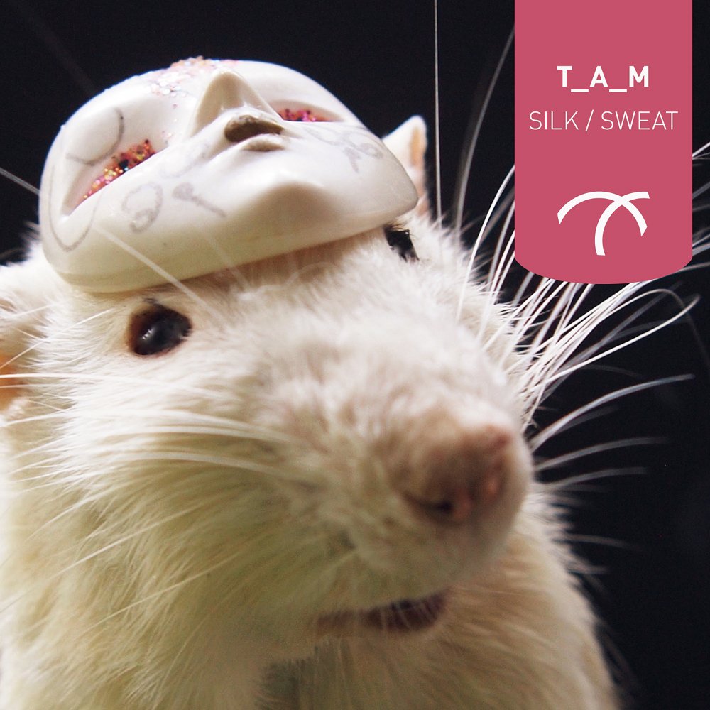 180fact's tweet photo. .@localactionrec’s T_A_M channels crunchy house on ‘September’s Silk’ – and wow, artwork: https://t.co/7aPmDZjrj8 https://t.co/1ijuJTO5oN