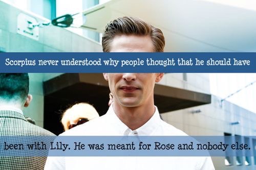 Seriously never made sense why people always insisted on lily when @SexiestWeasley had my heart
