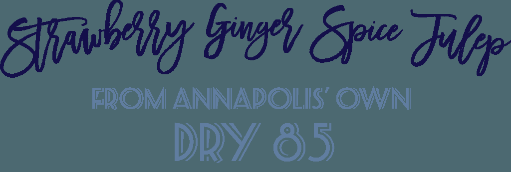 A Twist on the Classic Mint Julep hellomintjulep.com/wp/2016/04/06/…