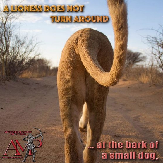 Looks like we need to take a lesson from the lioness! #WomenKickAss #2016YearOfTheBadass