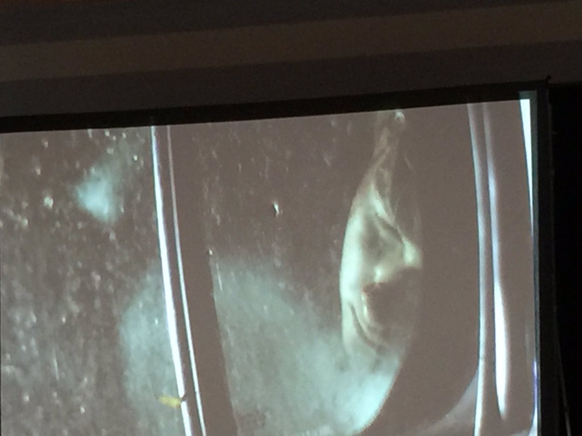 FMMtweets's tweet image. Tip #2: Do NOT get into a car with someone who is impaired. @maddcanada @MADDOnline @FMMOSAID