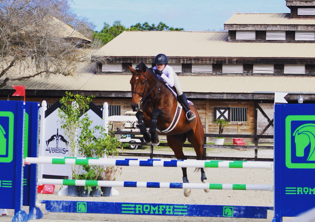 teamwatersedge's tweet image. "A horse is the animal to have.1100 lbs of raw muscle, power and grace-it's something you can't get from a hamster."