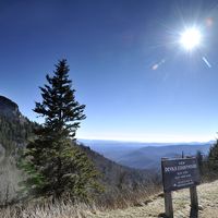 stephsharp5's tweet image. This area has inspired so much wonderful writing! #WNC #southernwriters buff.ly/1UOjR3G