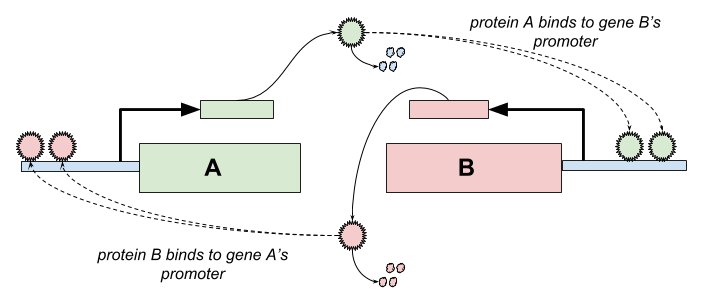 characterization of