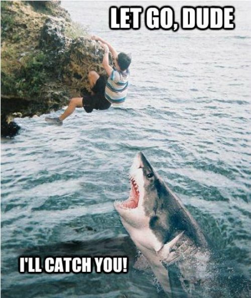 Dakota7075's tweet photo. @jowise1974 LOL.. #FeedAshark #LetGoDude https://t.co/vD8UqJIO1T