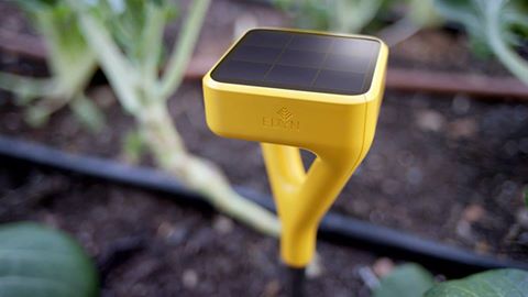 moneypit's tweet image. Edyn Garden Sensor helps you grow anything! buff.ly/1SbBBPz @EdynGarden #SpringDIY