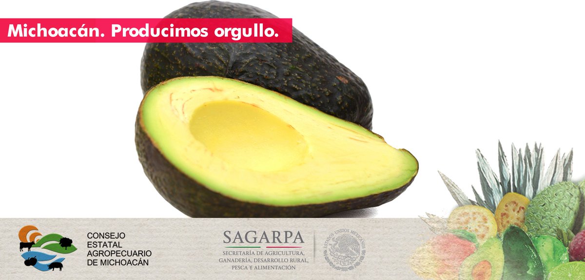ProdOrgullo's tweet image. #Michoacán es la capital mundial del llamado "oro verde". #ProducimosOrgullo
