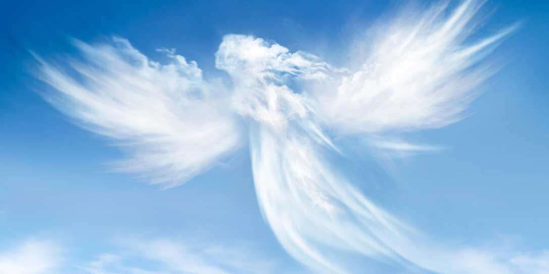 ChildOfLight44's tweet photo. Have faith
That you are supported
nurtured
cherished
guided and loved

You are Devine 
Nothing more nothing less
🙏🏻 https://t.co/9dSJEb2aBU