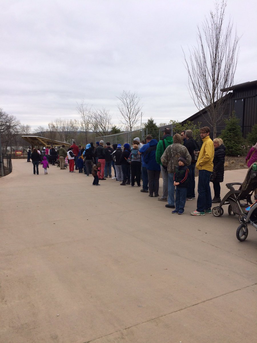 OmahaZoo's tweet photo. Getting ready for our new residents to make their debut! 🐘🐘🐘🐘🐘🐘 https://t.co/2i0v1WIyQk