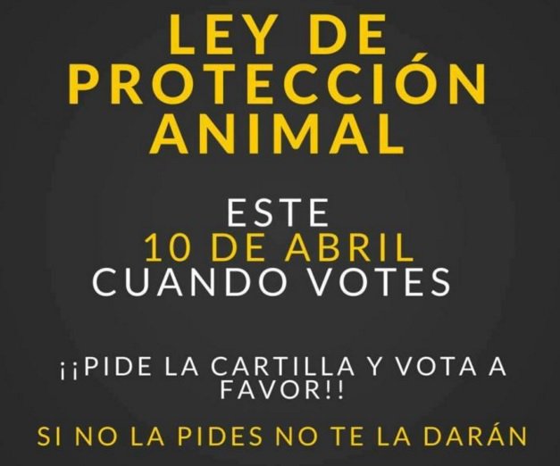 uterope's tweet photo. esta es la historia completa del nuevo meme viral de internet https://t.co/88yewgvmrS https://t.co/QWGxLYQ3Yb