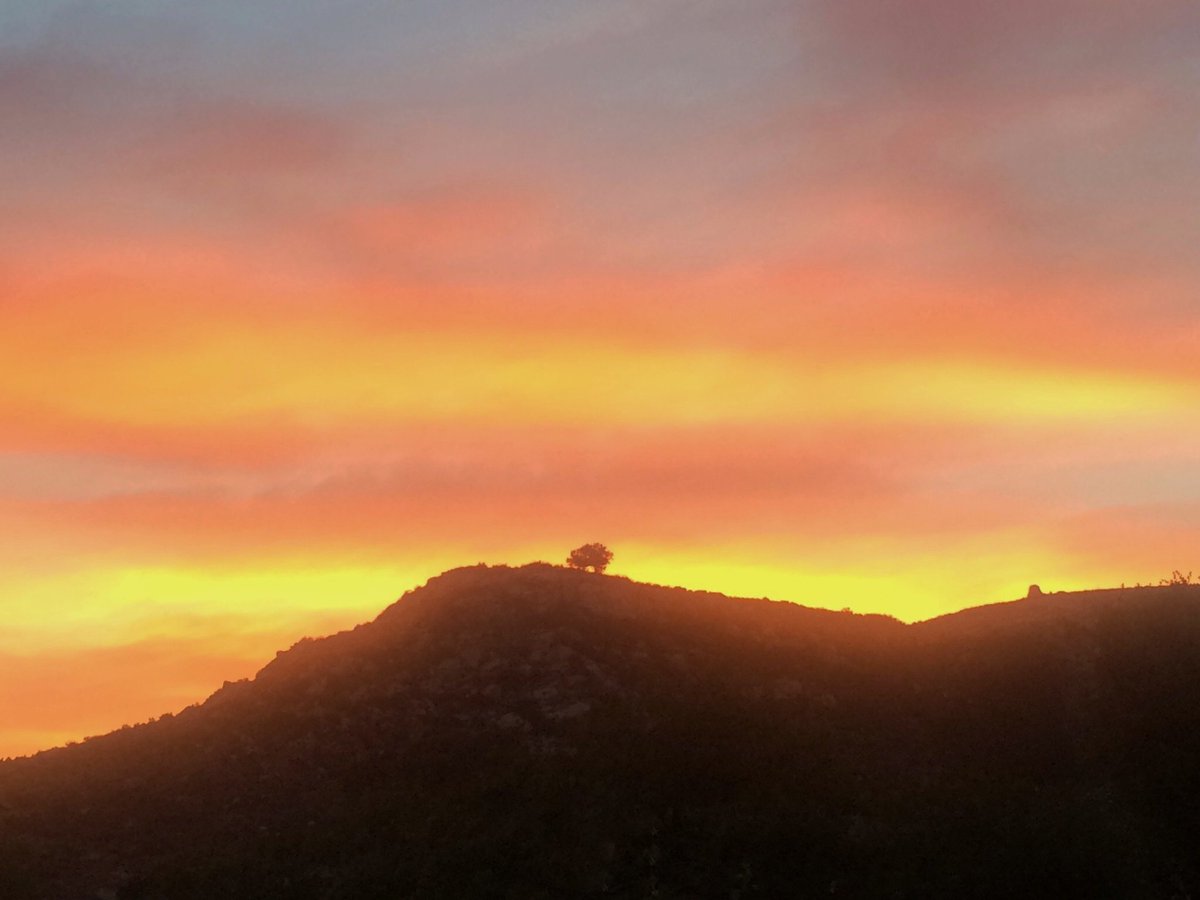 RanchoLaPuerta's tweet photo. "Every sunset is an opportunity to reset." Richie Norton.  Last night's sunset over Alex's Oaktree @rancholapuerta. https://t.co/MGJeEDBLBy