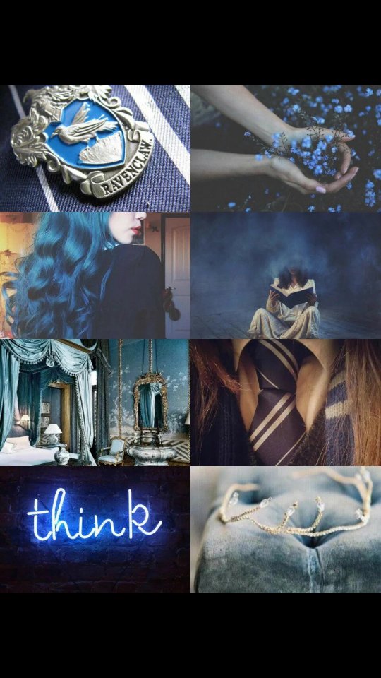 SophieScLg's tweet photo. ¿Un Rt para darme a conocer? Esta peliblanca quiere amigos...perteneciente a Ravenclaw...Gracias https://t.co/w6Clt5tlMJ