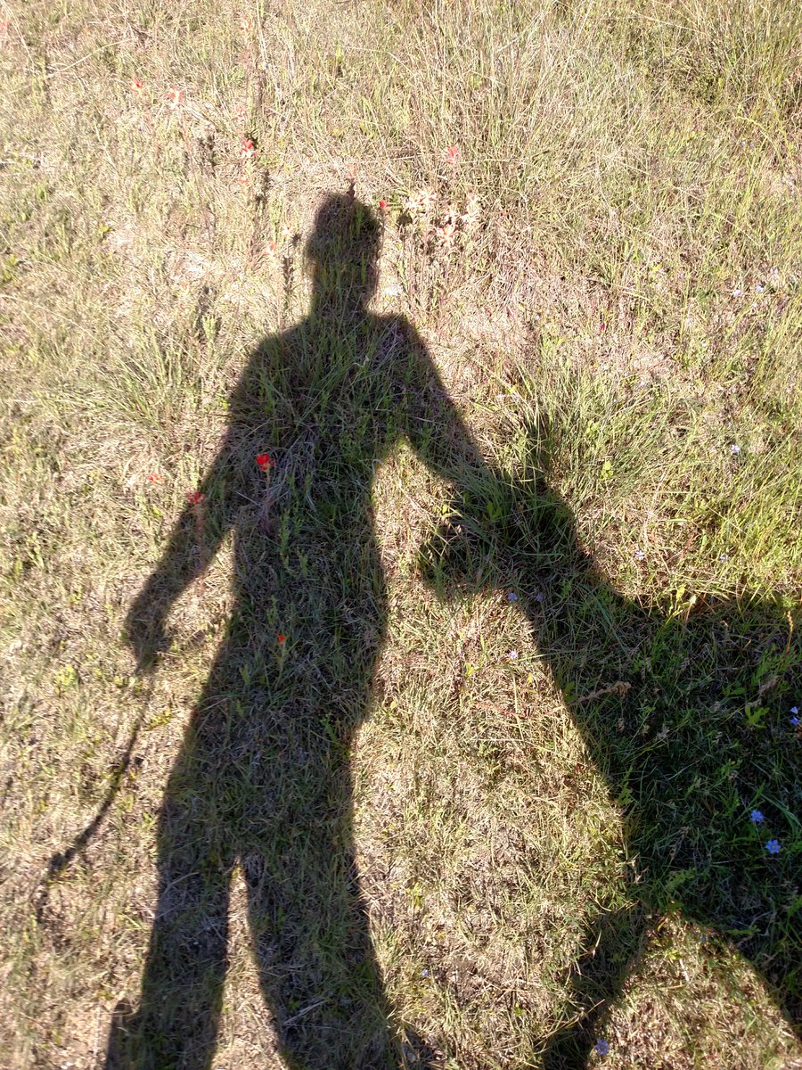 My 4:00 shadow. Taking the lamb for a walk