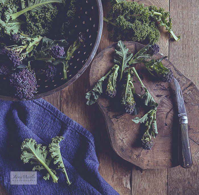 FrenchHillside's tweet photo. Wordless Wednesday – First Spring Greens (and Purples) https://t.co/3KwXgn052A https://t.co/uwGDBSAjtZ