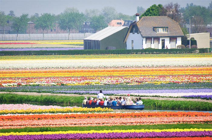 Alicia Floyd tweet media