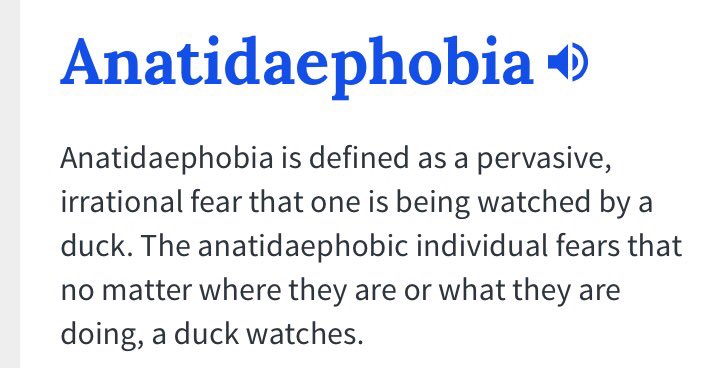 Lea_lea23's tweet photo. This is an actual fear 😂👍🏼 #noemojiduck https://t.co/GoZsePIgmq