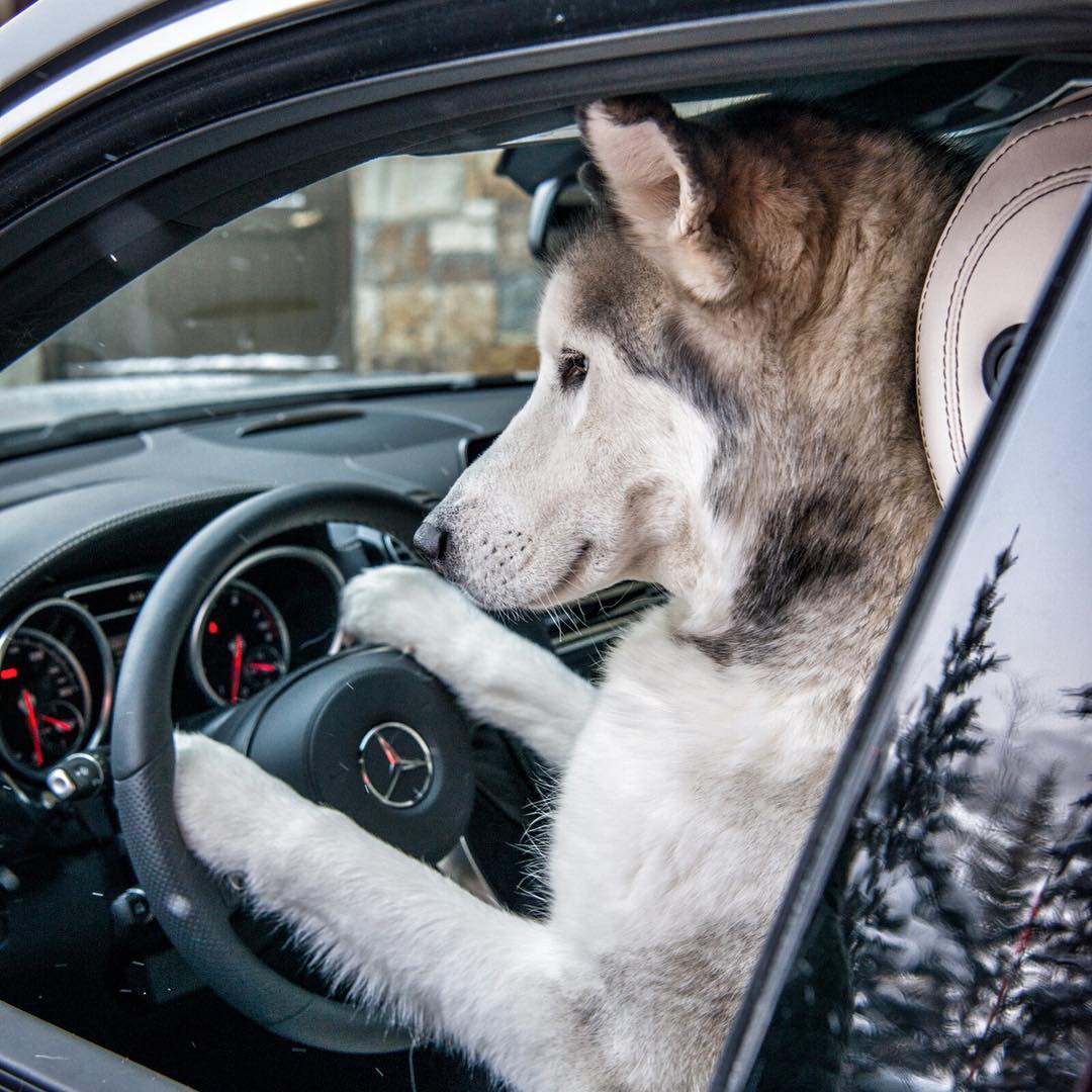 Adweek's tweet image. Mercedes-Benz is killing it on Instagram. Here's how it gets such great engagement: adweek.it/1qqXftr