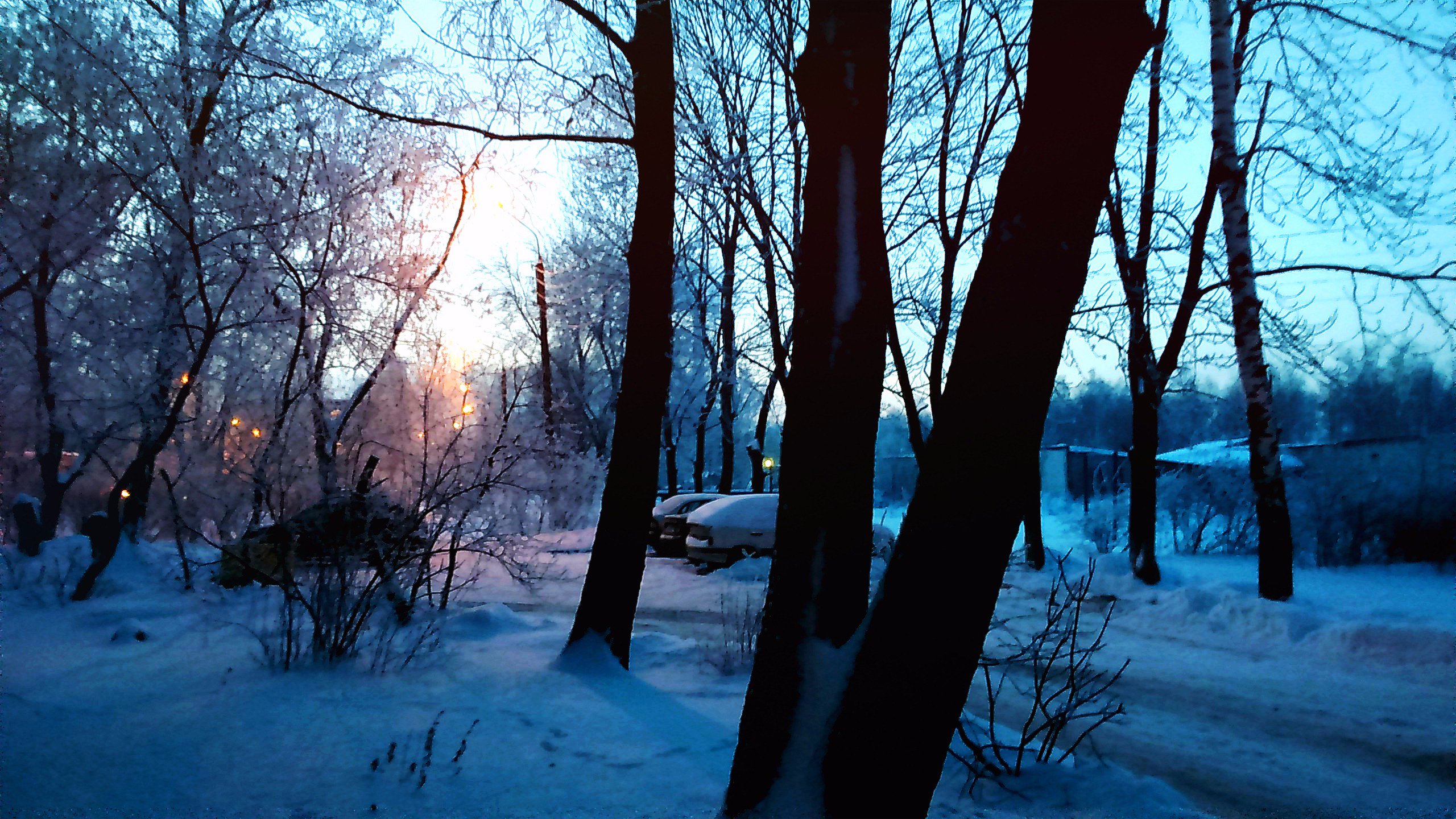 Marceline Morel (Marceline_Morel) / Twitter