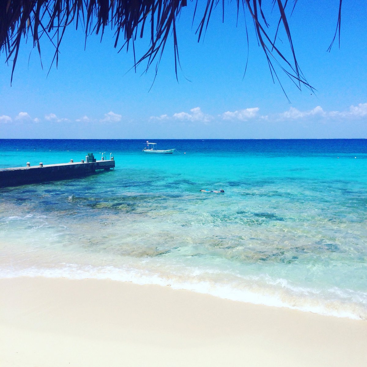 HermanPieters's tweet photo. The start of my last day in Mexico... #mscdivina #adventurepart2 https://t.co/KsLeKtNifX