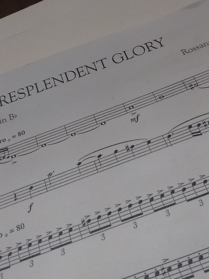 OMurtagh's tweet photo. Wind band tunes to get you pumped yo!
Any1 know what resplendent means. #honkifyoureinawindband #honk #sad https://t.co/1GvCaReBJH