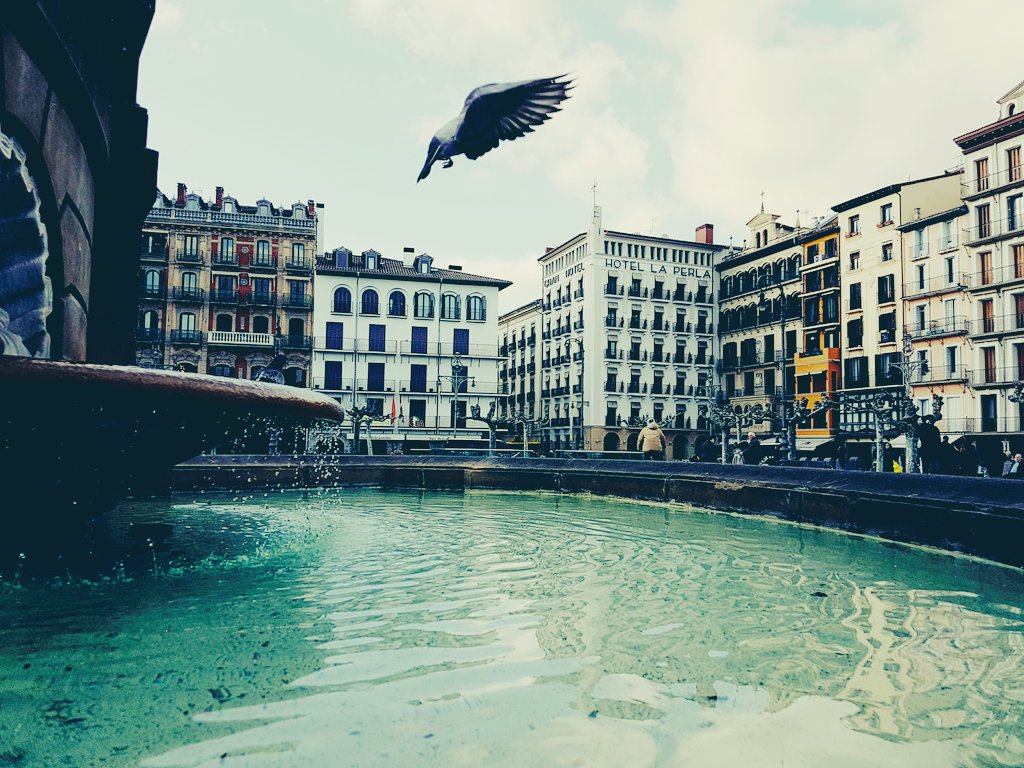 DMATTOS_'s tweet image. Iruña La Bella.📷