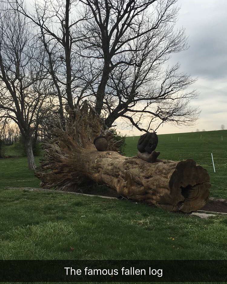 US Equestrian tweet media