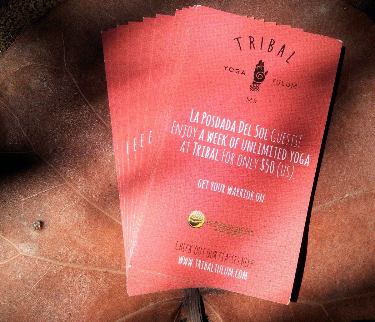 laposadadel_sol's tweet photo. Keep a secret &amp; #beourguest! #yogatribal #LaPosadadelSol #tribaltulum #hotel #yoga #getyourwarrioron #guestonly https://t.co/bNiLh2v2mZ