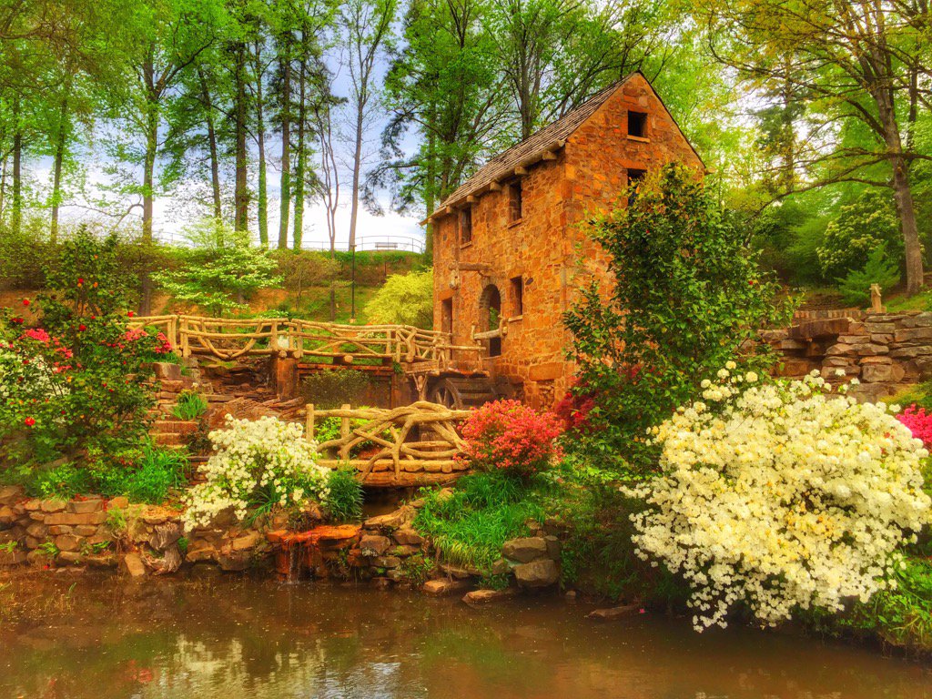 Steve Canady (@cjteacherstevec) | Twitter