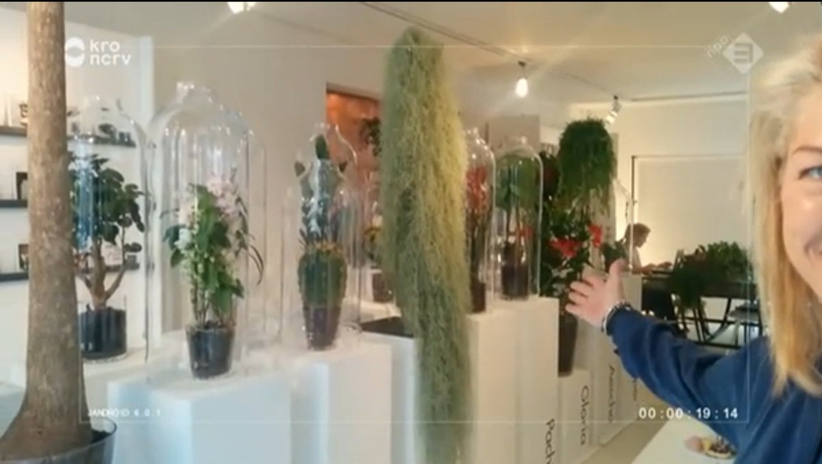 Ik ging een selfie maken met model van een modellenbureau. Bleek het een plantenmodellenbureau te zijn #Janrijdtrond