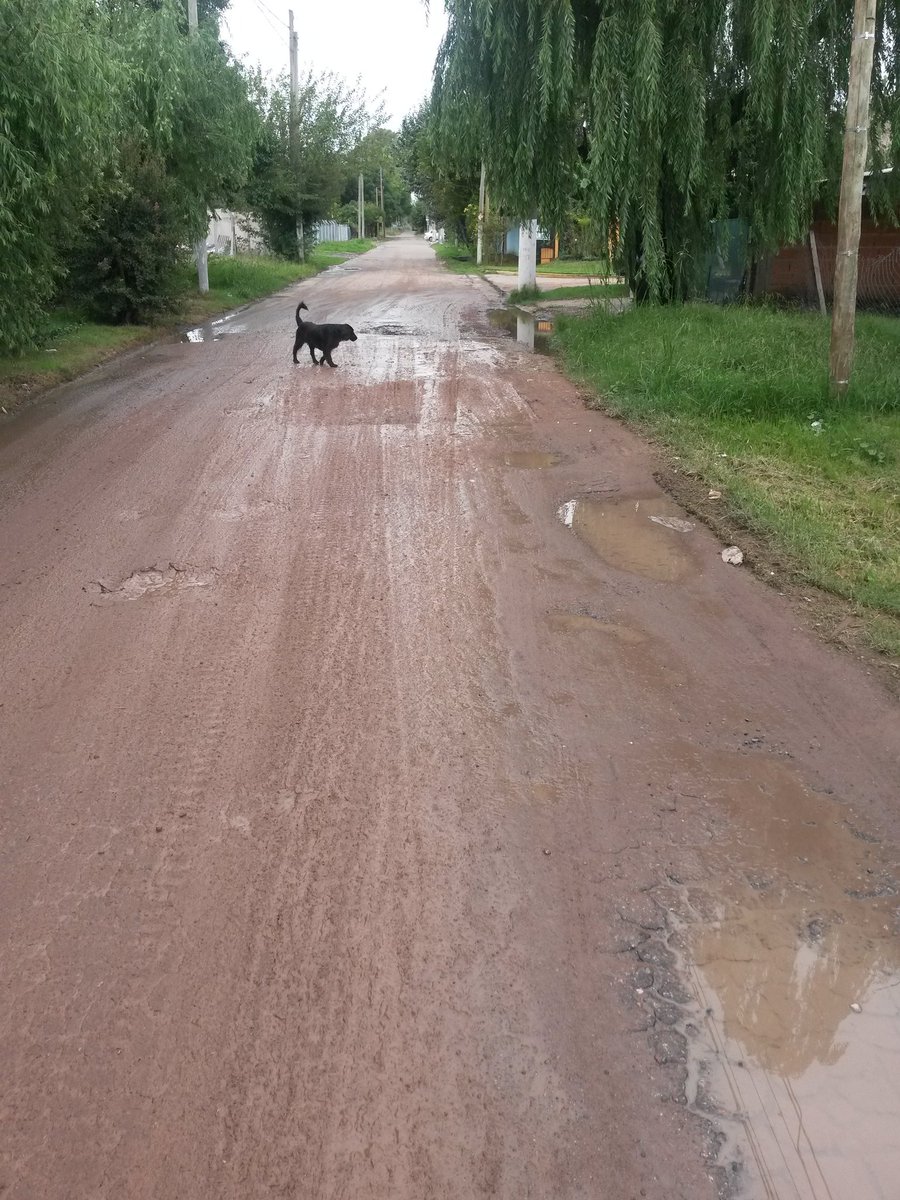 mayx666's tweet photo. Calle uruguay. Pilar centro. INTRANSITABLE @NicoDucote @eldiariopilar @telefenoticias @MunicipioPilar https://t.co/CCnidaSURR