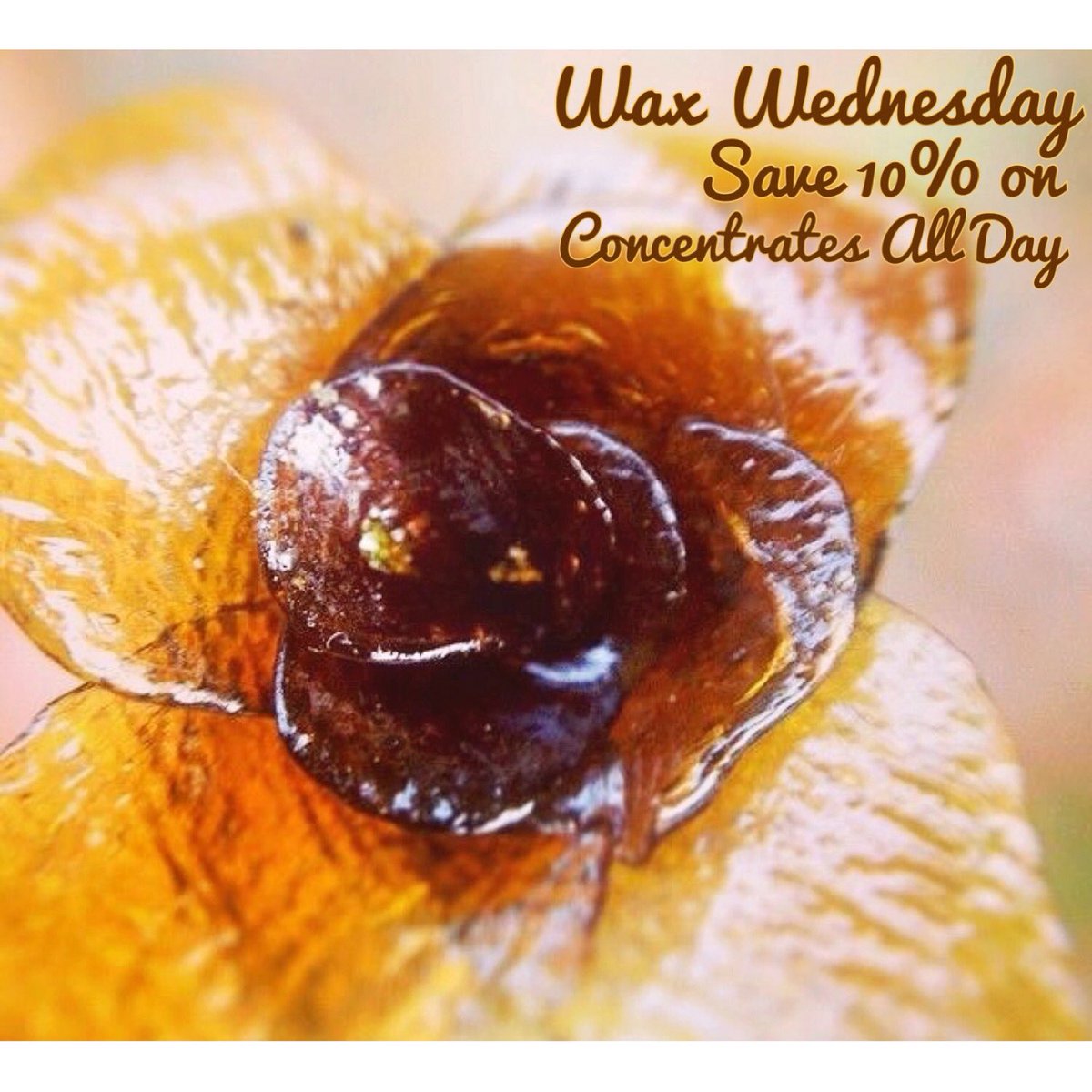 Mindritepdx's tweet photo. Hello #RoseCity! Save 10% on #concentrates all day at #MindRite. #ommponly #pdx #dispensary #dab https://t.co/wKQm3xuRUX