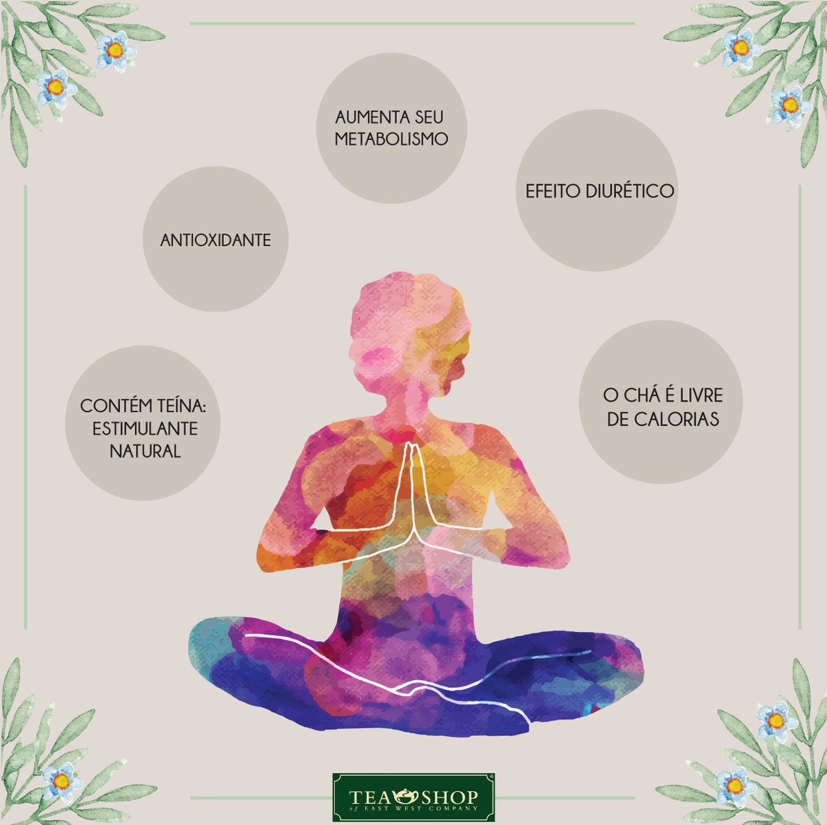 Tea Shop Brasil tweet media
