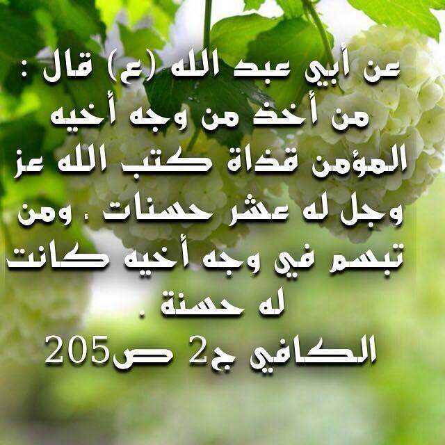 عن ابي عبدالله عليه السلام قال
من اخذ من وجه اخيه المؤمن 
قذاة كتب الله عز واجل له 
عشر حسنات ومن تبسم
في وجه اخيه