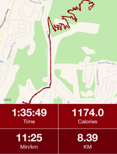 SaraTronson's tweet photo. I just ran 8.39 KM in 1:35:49 with #RunTrainer! The new trail up Mount boo is pretty nice https://t.co/FL8rGfsSCf