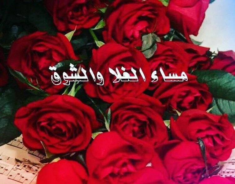 يسعد مساء ذويقة الشعر والبوح 
مسا الشعـر مايحلا الا  بلقـاكـم

نهدي لكم احلى قصيد من الروح 
يسعد مسائي بطـلت مساكم💞