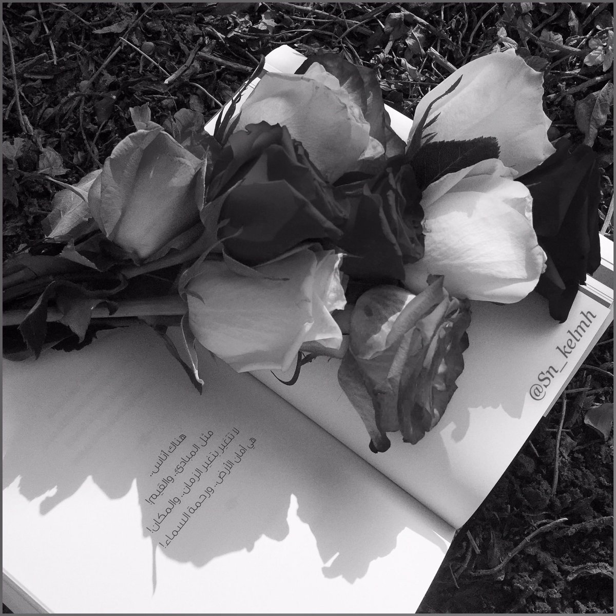 Seham ALmutairi 🕊 tweet media