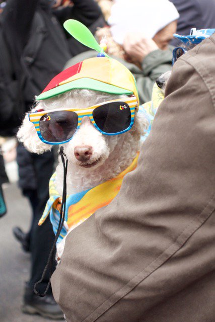 SelahPhotoLLC tweet media