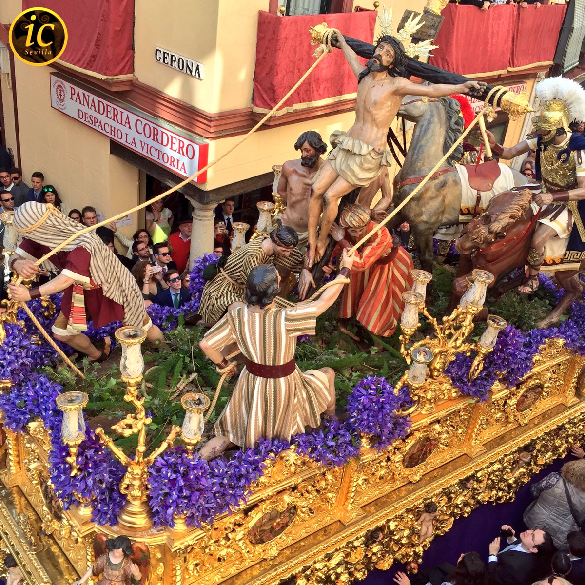 info_cofrade's tweet photo. Gratamente sorprendió el misterio de la Exaltación la pasada #SSanta16 con un poco común exorno de lirios morados. https://t.co/aPzBGNIBje