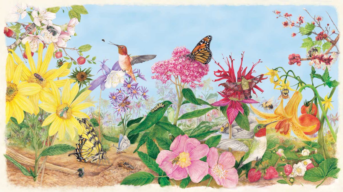 Hey #educators! Submit a photo for a chance to win a #pollinator prize pack: buff.ly/1oAdVwG #CWFWildSpaces