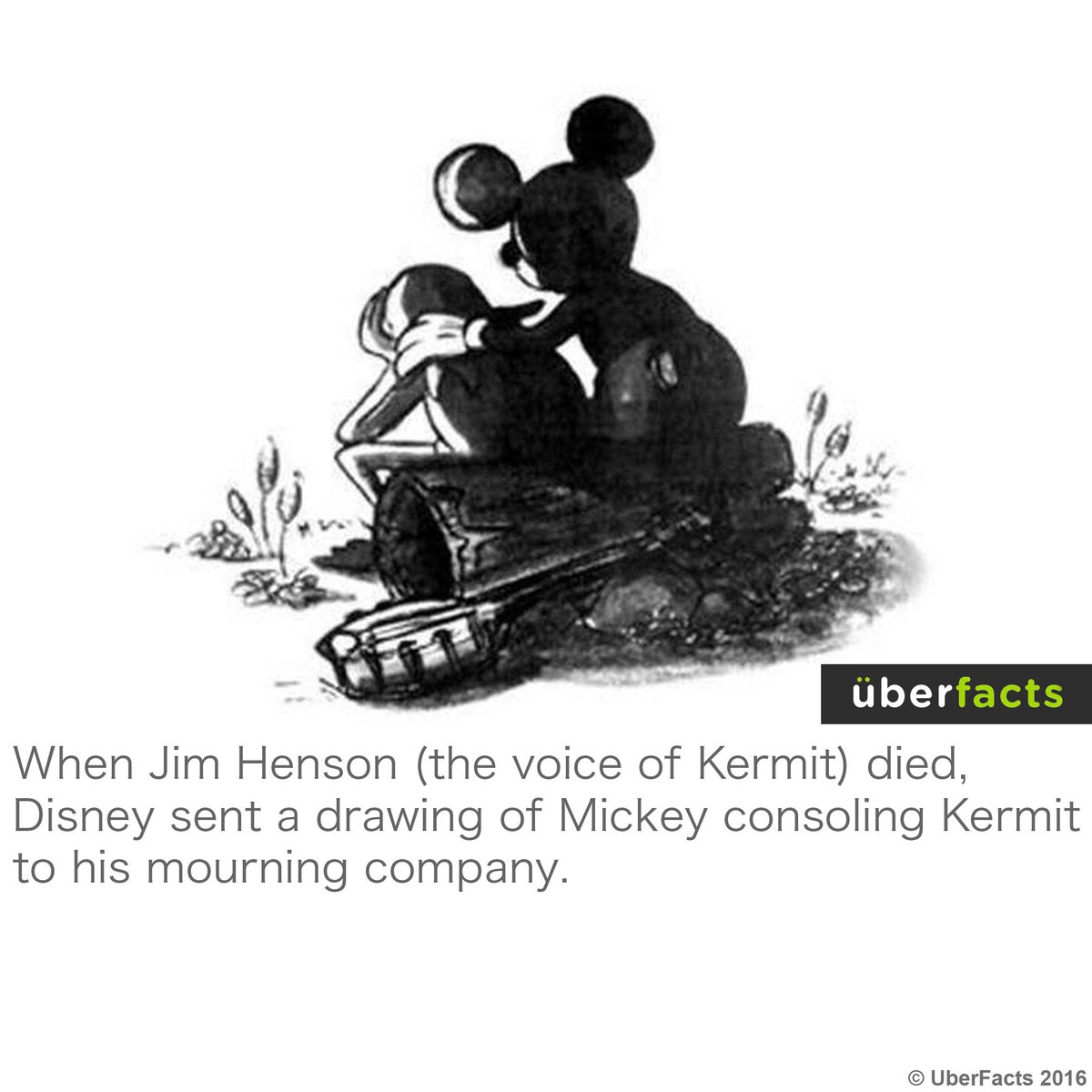 UberFacts's tweet photo. :( https://t.co/SLIkMF6c4q