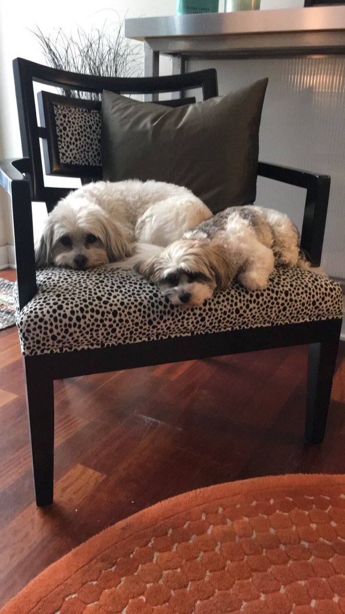 BlueyeCreative's tweet image. Two out of the three Blueye princesses sharing a throne. #blueyelife