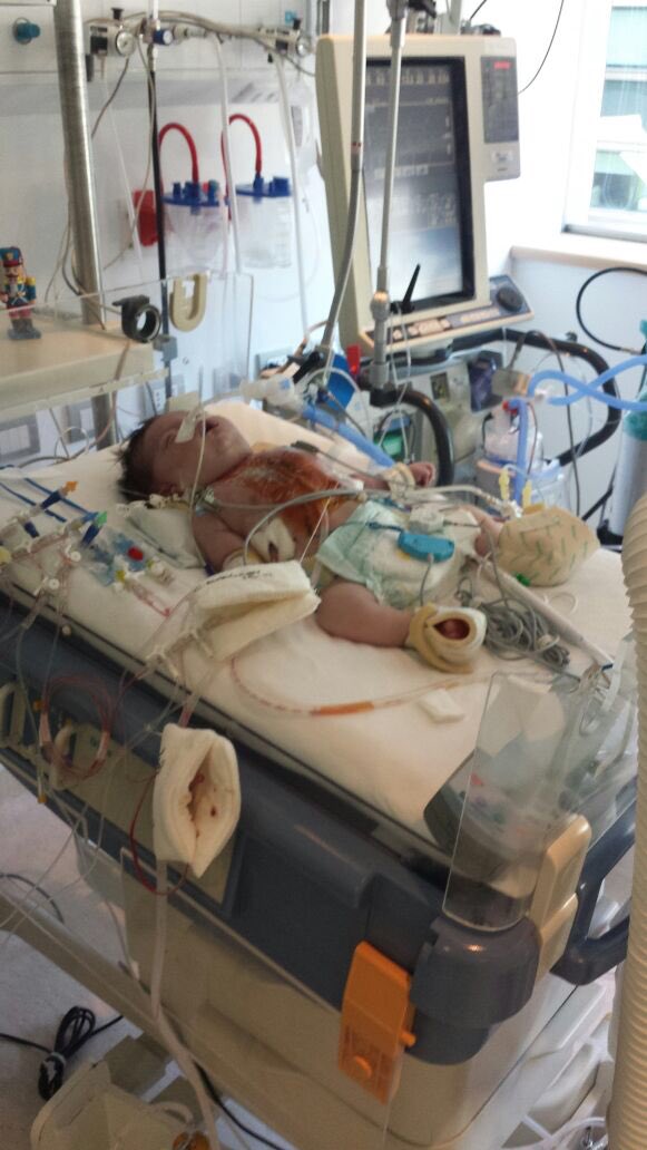 mcalfonso_13's tweet photo. Amigos, se necesita dadores de sangre para el pequeño León, quien está internado en la clínica Sta María https://t.co/yFxgOvNyIw