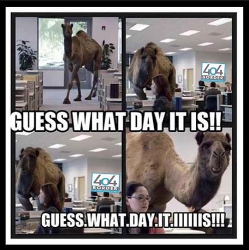 404Border's tweet image. It's Wednesday everybody!!!  25 days left till May 1st!!
#leasetoday #preleasetoday #wednesday #apartments