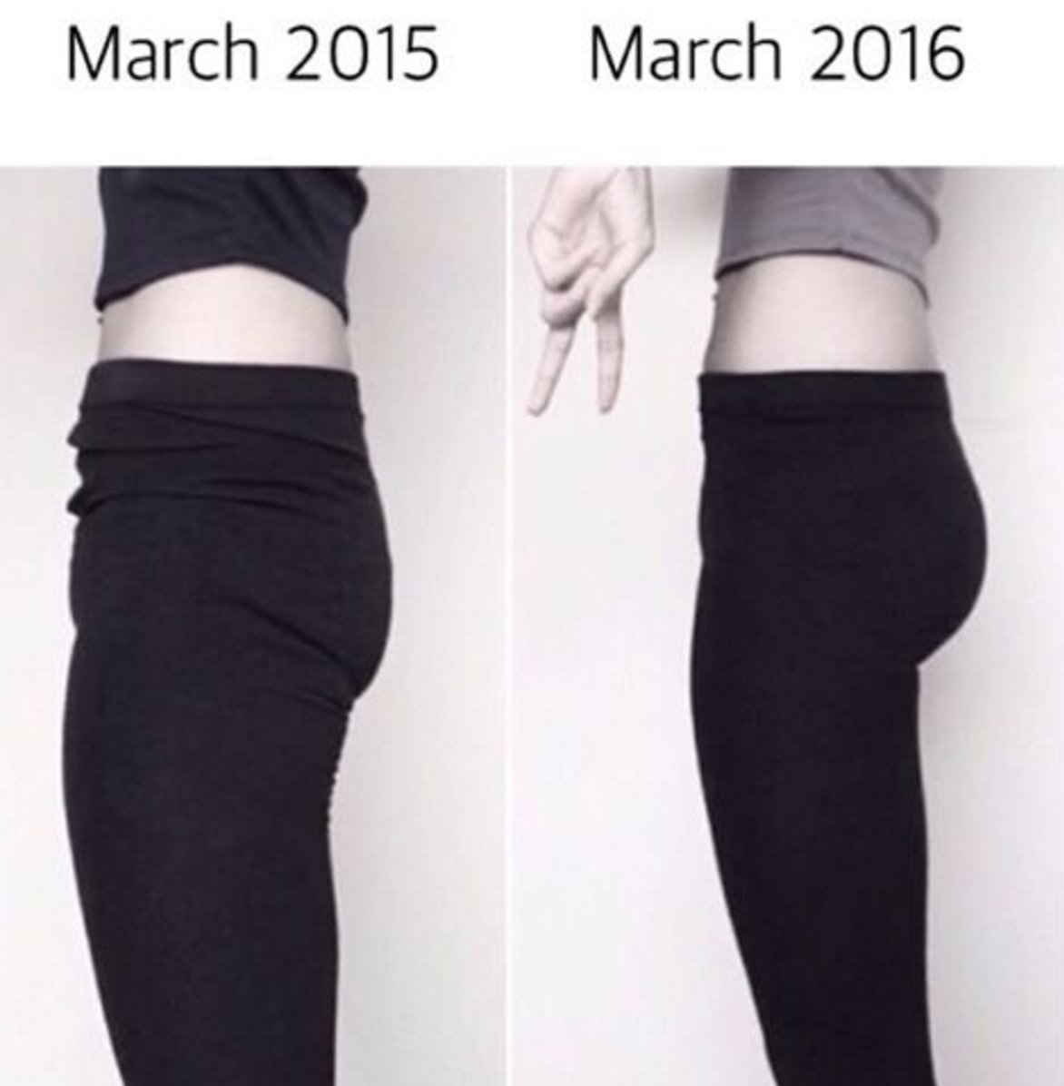 FitnessBlender's tweet photo. "With hard work & dedication anything is possible" Need a program? Try 4 Week #FBbooty @ https://t.co/Y6gnElLXF1 https://t.co/MGp4CnGT02