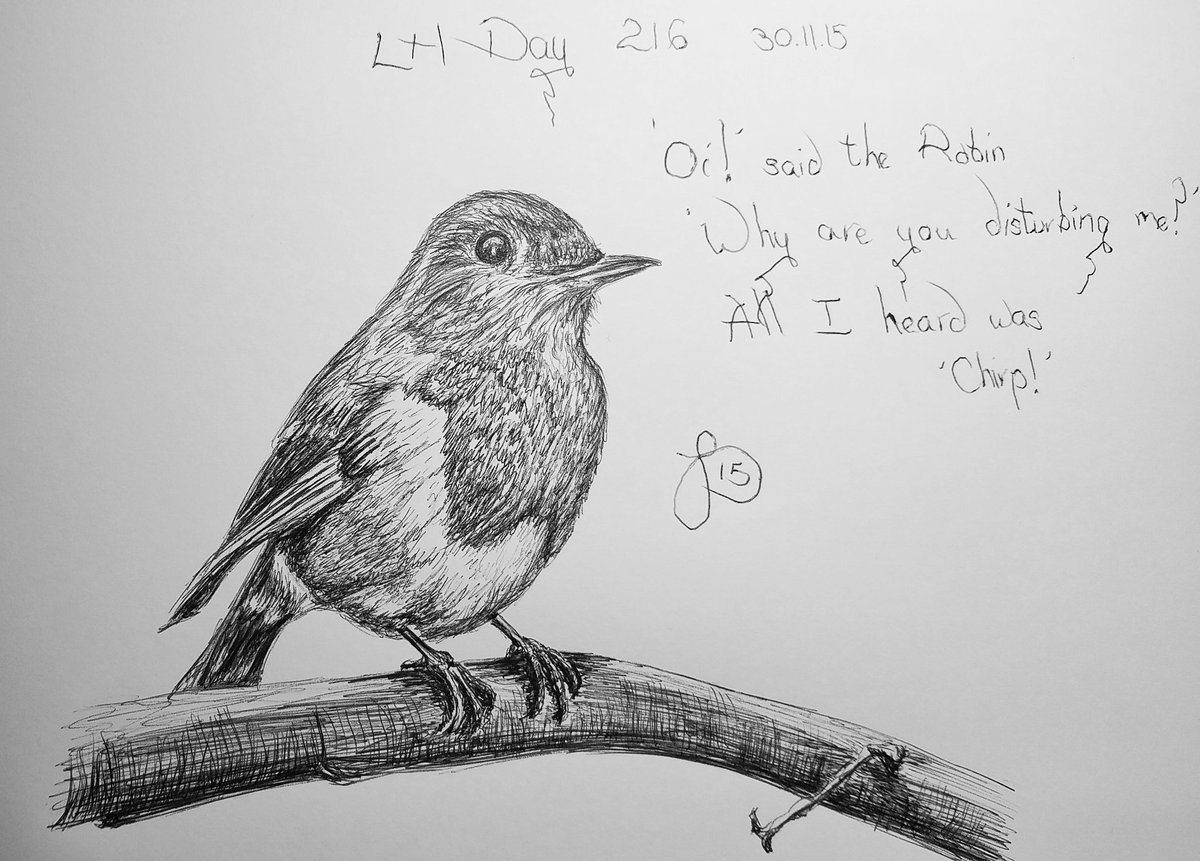 neonblaze72's tweet photo. #artisthour this was a #robin I did with my #lefthand in #biro #feathersandfur https://t.co/gqiFr4mDlO