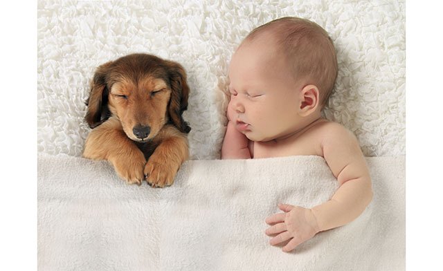 funnydog123's tweet photo. dog playing with babies
View more: https://t.co/p3wF8sGXy8

#dog #puppy #dogs #puppies #doglovers #puppylove https://t.co/489uhIm1n4