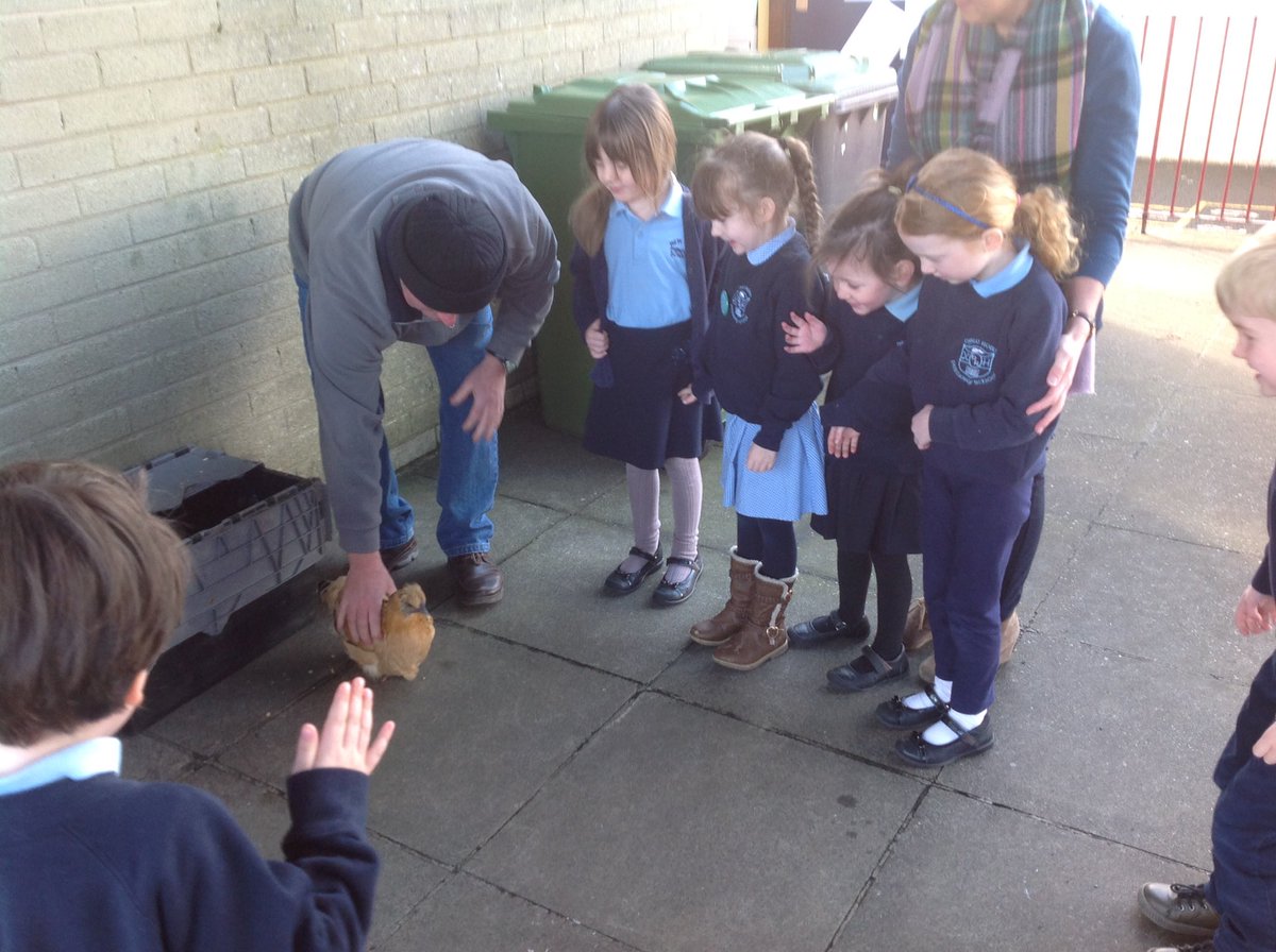 NewRowPS's tweet photo. Very special mum brought her young family to NRPS today
Thanks, Farmer Kevin! Very welcome!
#topchicks #bestschool https://t.co/7h99sdTfDZ